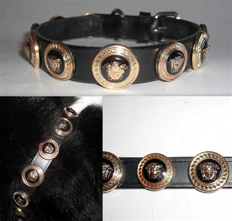 versace collares|Shop Versace Medusa Dog Collar .